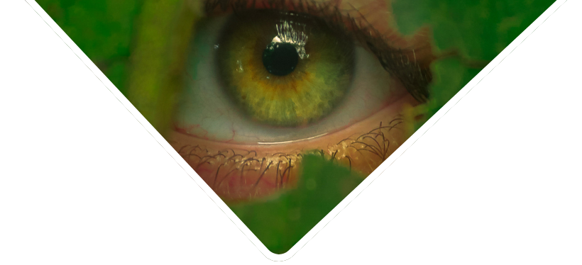 Baner Huma AI Baner Huma AI